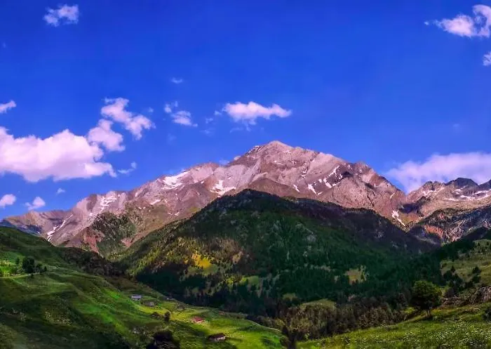 Apartment Apartamento Moira En